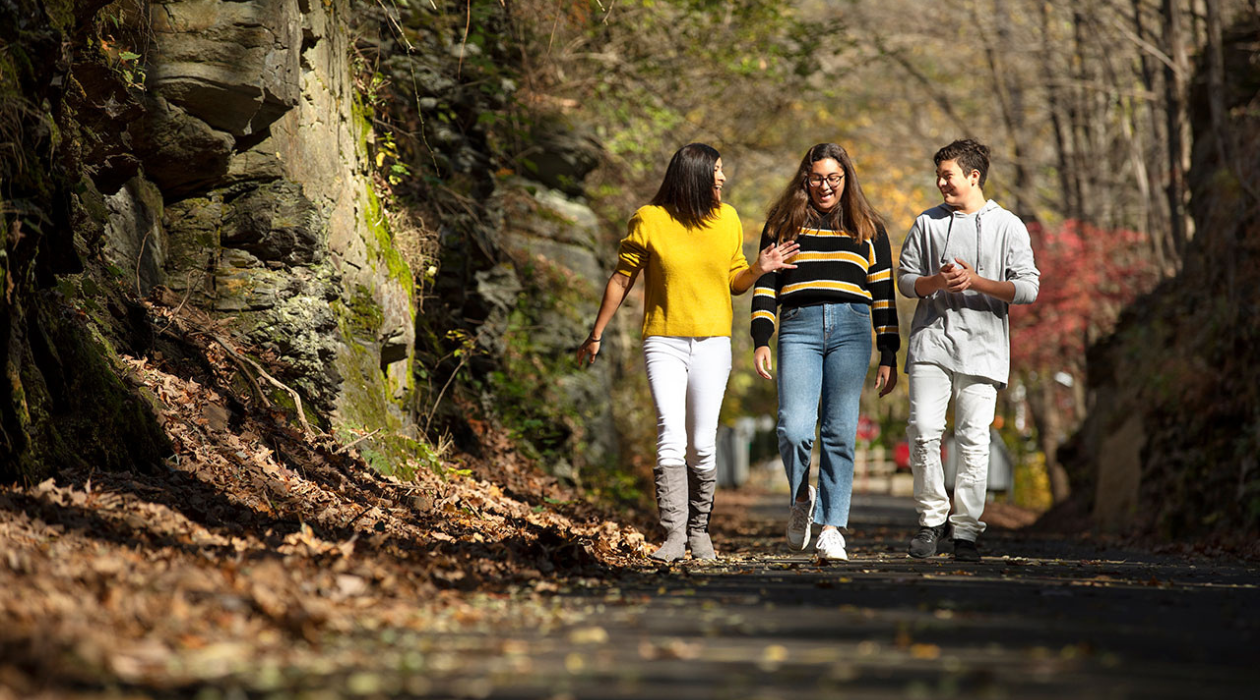 three friends walking along autumn Harlem Valley Rail Trail with leaves falling on either side